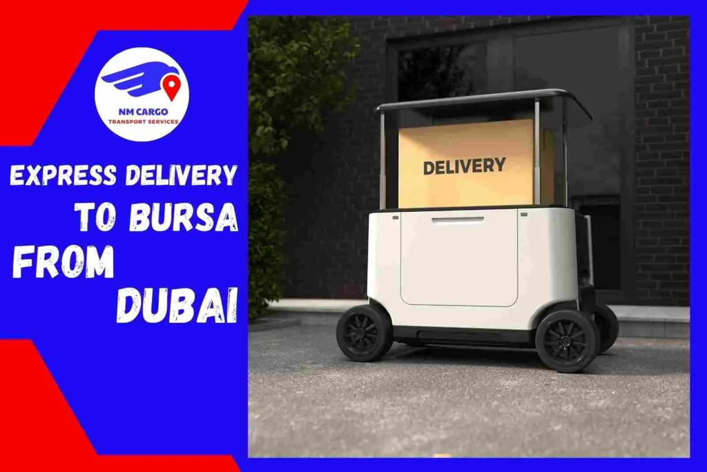 Electrical and Electronics items to Bursa From Dubai