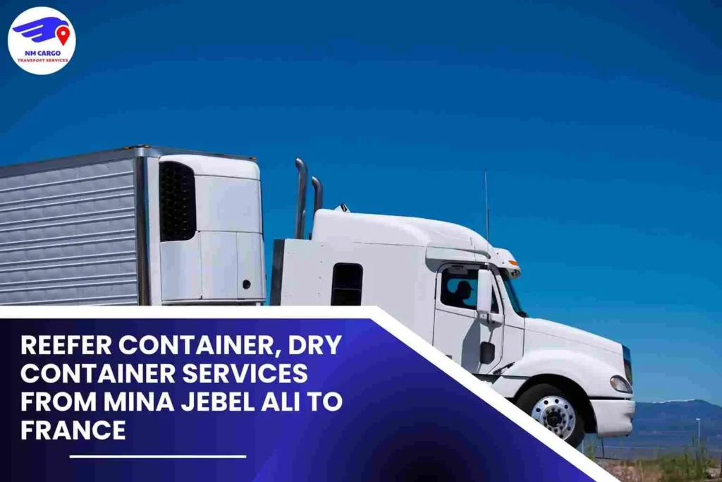 Reefer Container, Dry Container Services from Mina Jebel Ali