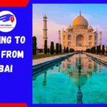 Shipping To India From Dubai