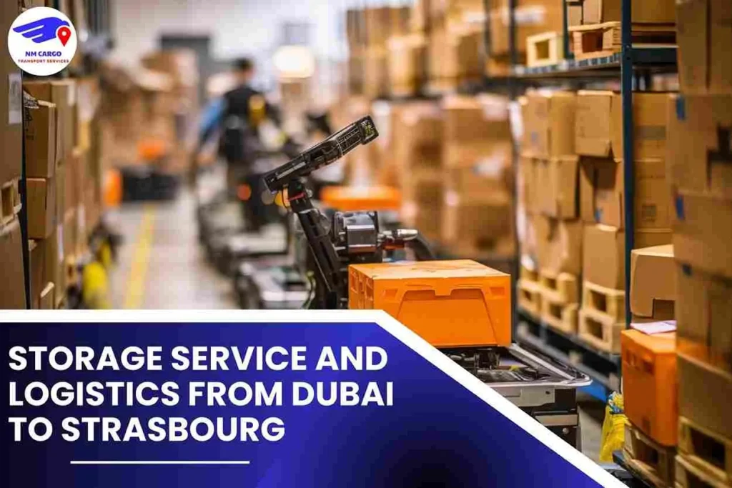 Storage Service and Logistics From Dubai To Strasbourg