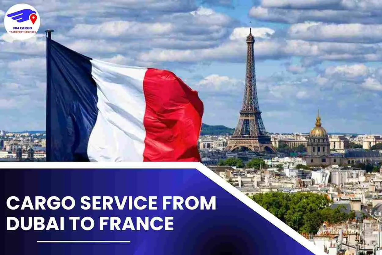 Cargo Service from Dubai to France