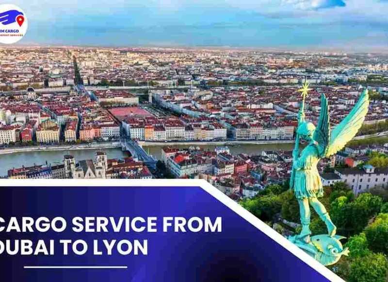 Cargo Service from Dubai to Lyon