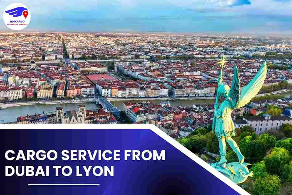 Cargo Service from Dubai to Lyon