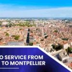 Cargo Service from Dubai to Montpellier