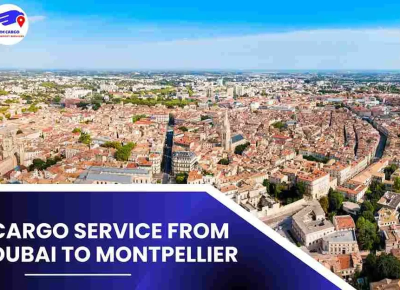 Cargo Service from Dubai to Montpellier