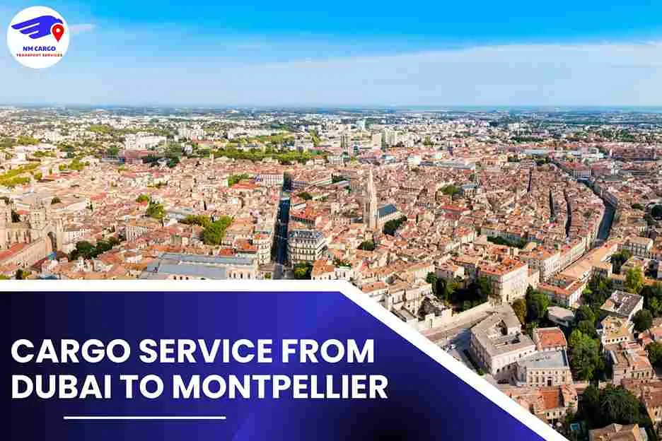 Cargo Service from Dubai to Montpellier