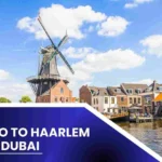 Cargo To Haarlem From Dubai