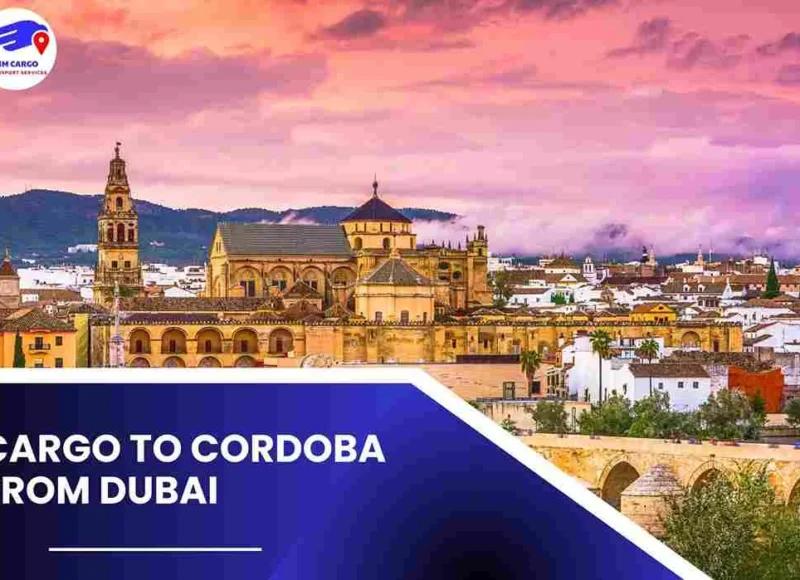 Cargo To Cordoba From Dubai