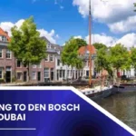 Shipping To Den Bosch From Dubai