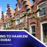 Shipping To Haarlem From Dubai