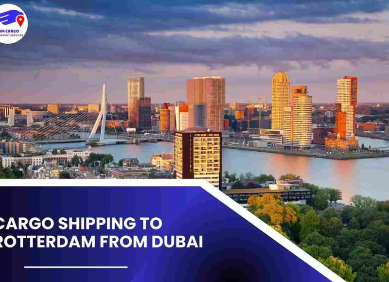 Cargo Shipping To Rotterdam From Dubai