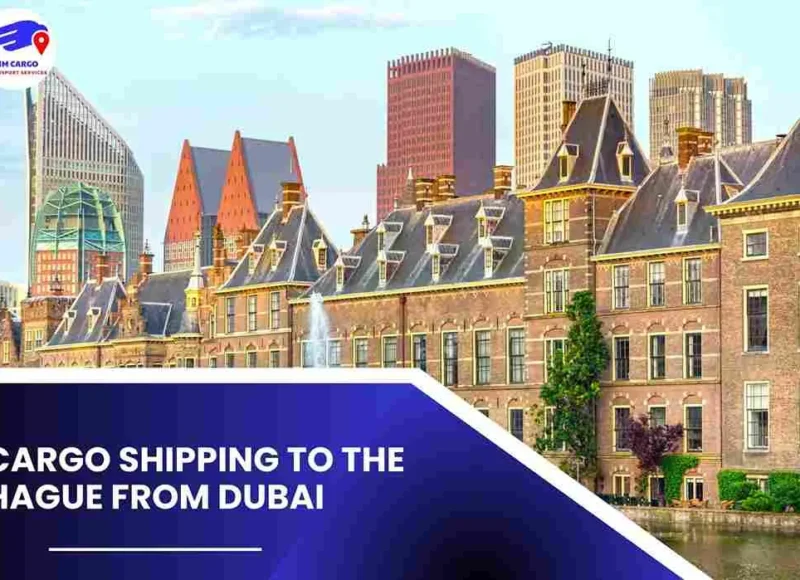 Cargo Shipping To The Hague From Dubai