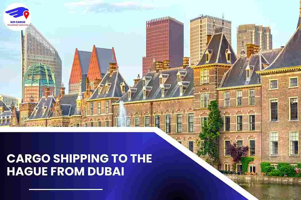 Cargo Shipping To The Hague From Dubai