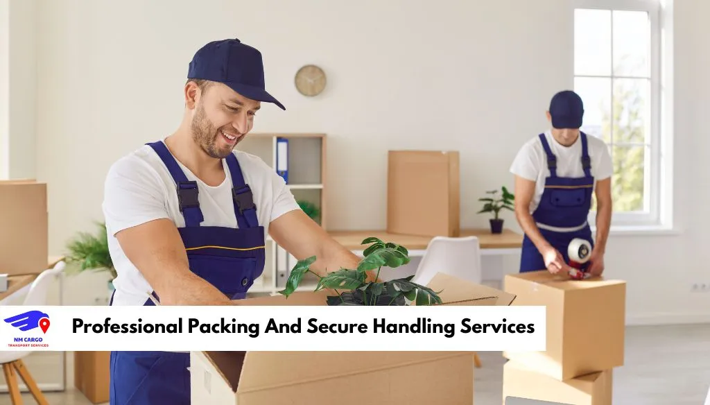 Professional Packing And Secure Handling Services