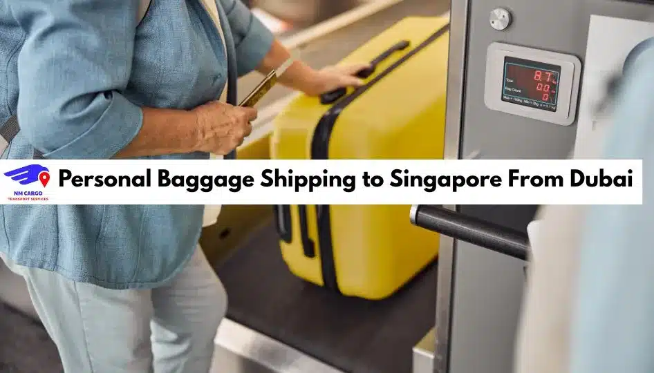 Personal Baggage Shipping to Singapore From Dubai